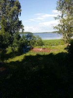Медянка