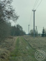 Волковицы