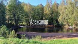 Пятиречье, Березовая
