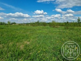 Красное Село, Родниковая