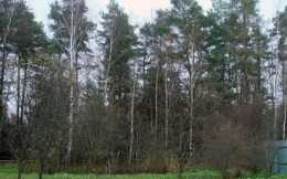Кубинка, к.НТ
