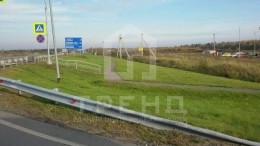 Горгала, Кедровая