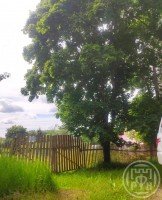 Волочаевка