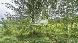 Белоостров, Серебряный Ручей, 12