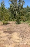 Волхонское
