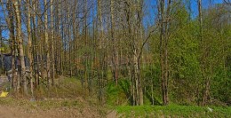 Лебяжье, Финская
