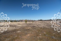 Истра, Алексино