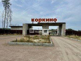 Коркино