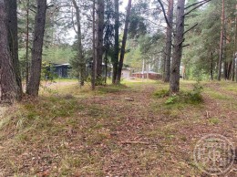 Луга, Пансионат "Зеленый Бор"