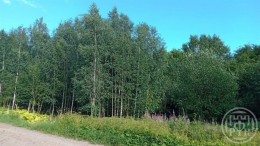 Токкари