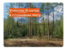 Никитилово