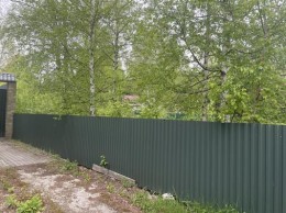 Раменское, Быково, Пенсионер