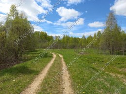 Руза, Новая