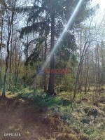 Кротово