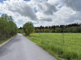 Елизаветино, Вокзальная