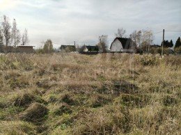 Соловьевка, Центральная