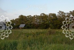 Ликино-Дулёво, 15