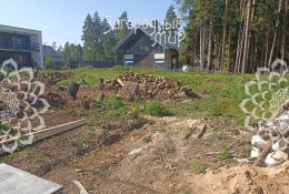 Красногорск, Степановское
