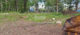 Массив Ремесленник, Александринка