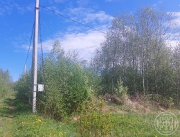 Рябово, Полянское