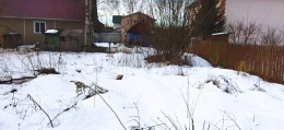 Янино-1, Колос, 8-я Линия