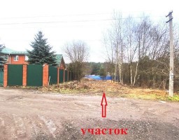Раменское, Быково, Пенсионер