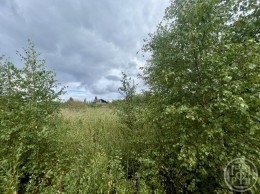 Пеники