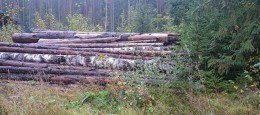 Свирьстрой, Озерки-2