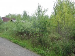 Павловский Посад, Васютино, Зарянка, к.НТ