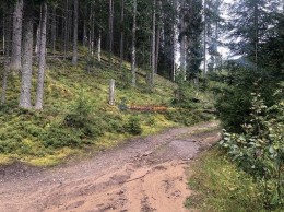 Моторное п ДПК Пригородное