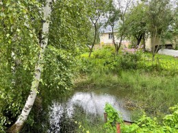 Волхонское