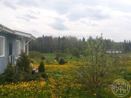 Глядино