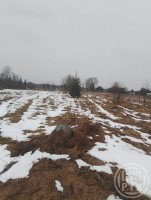 Ястребино