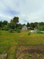 Приморск, Сосновый