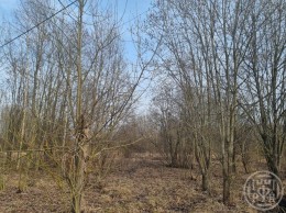 Всеволожск, Дорожный, 27