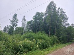 Славянка, Берёзовка, 5-я