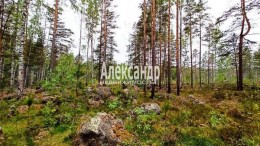 Академическое, к.НТ
