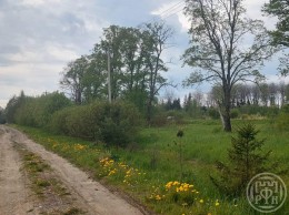 Петровское