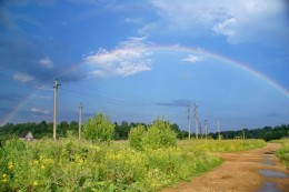 Лоза, Птицевод-2