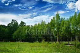 Мытищи, Рождественно