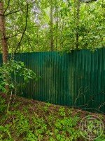 Возрождение, Южная, 72