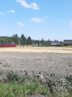 Кискелово, Арли