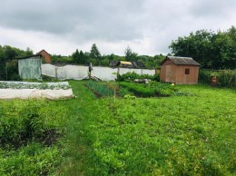Луховицы, к.нт