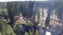 Рощино