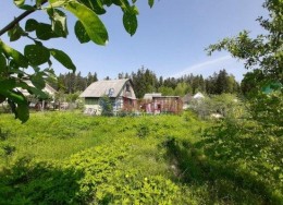 Пальцево, Локомотив-3, к.нт