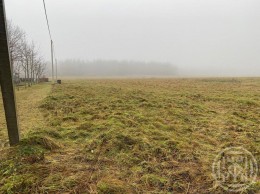 Таровицы