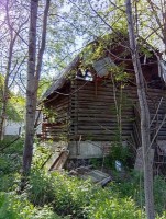 Чехов, Булгаково