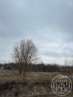 Порзолово