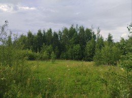 Павловский Посад, Степуринская