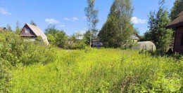 Рощино, Виктория, к.нт.